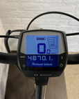 Batavus Wayz E-go