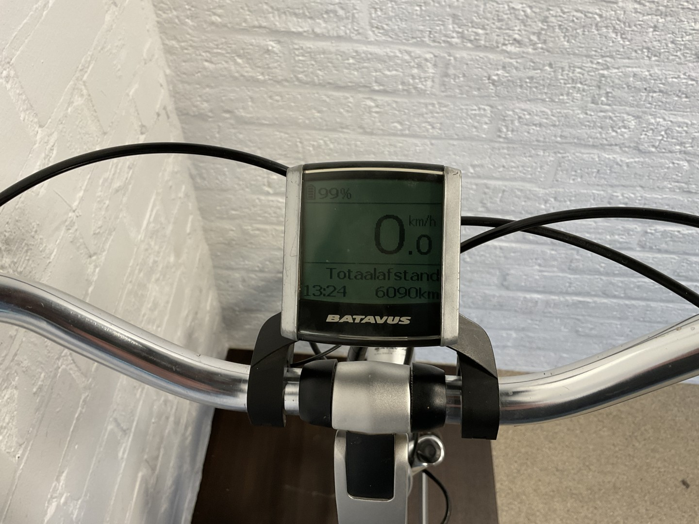 Batavus