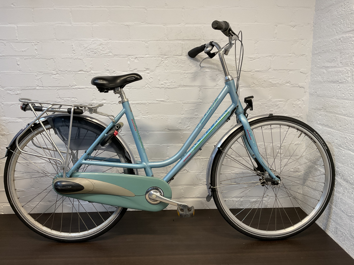 Batavus Flash