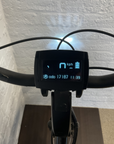 Batavus Ways D53