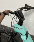 Bianchi Omnia