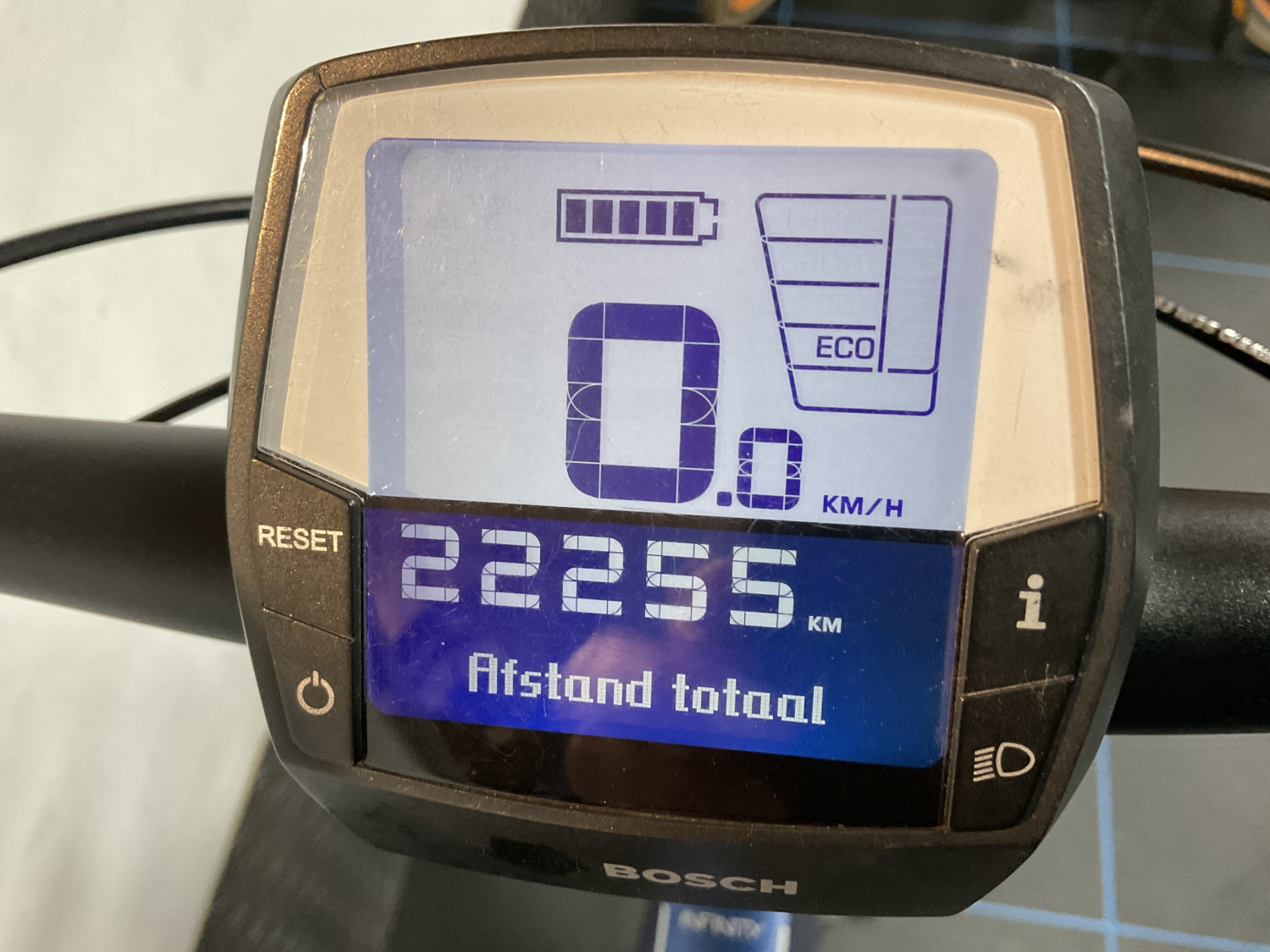 Dutch ID Infinity 50 Belt H53 A8