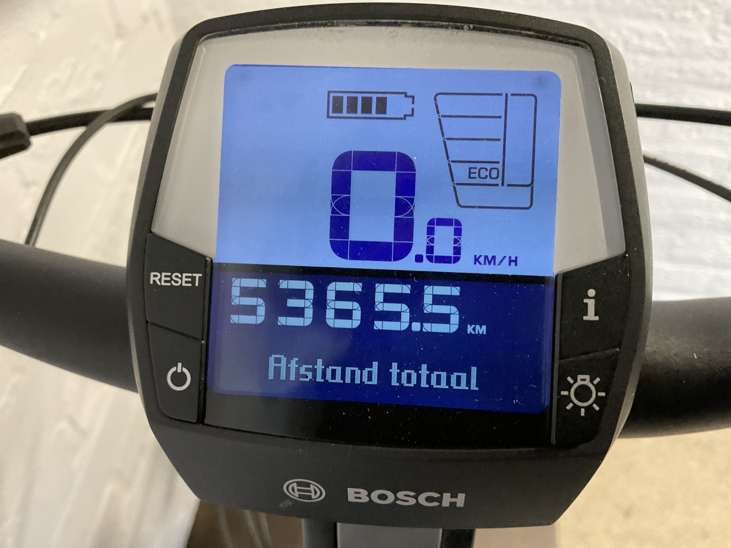 Dutch ID Infinity Belt H53 A8