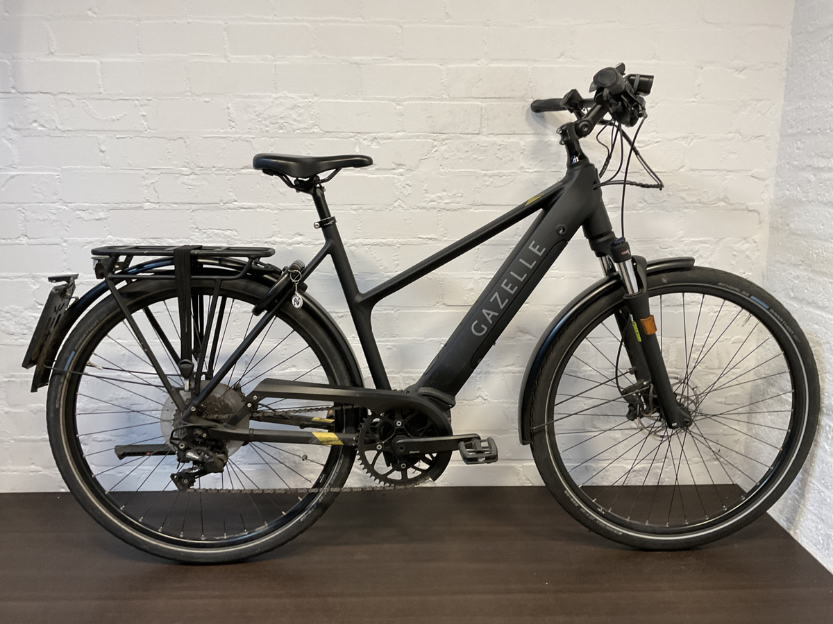 gazelle medeo