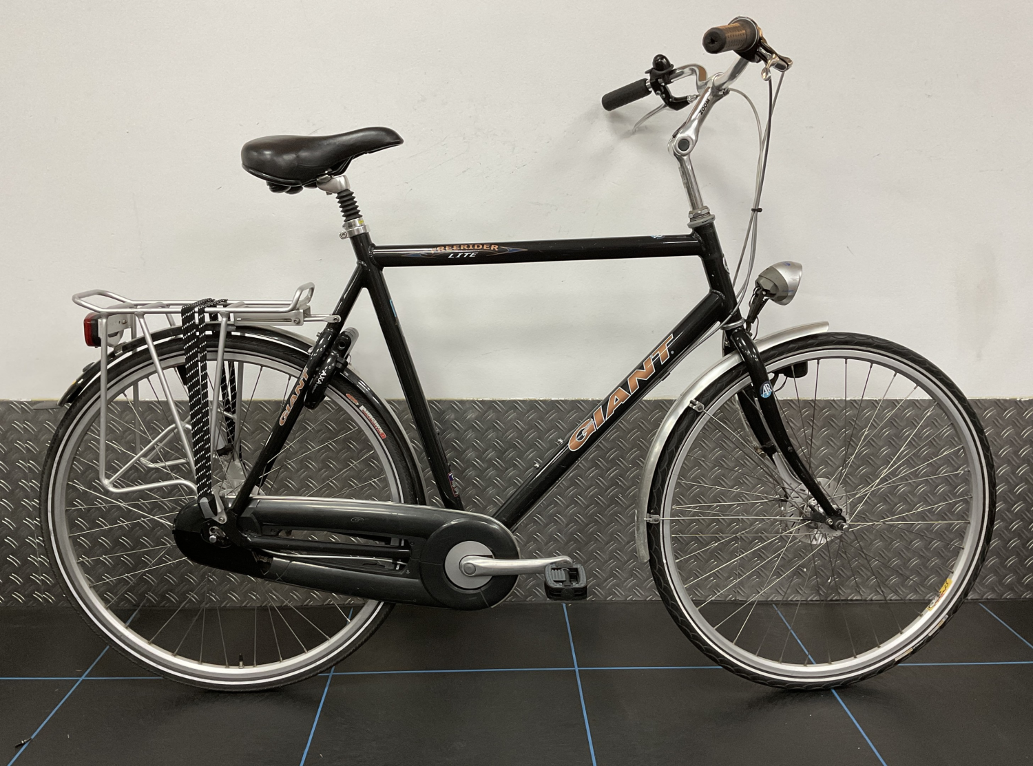 Giant Freerider Lite